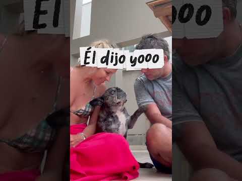 Amor perruno!