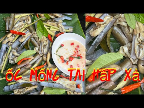 Video ốc móng tai hấp xả không cần nước thơm ngọt từng con @... - youtube