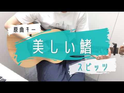 美しい鰭/スピッツ　ギター弾き語り　歌詞コード付き　原曲キー