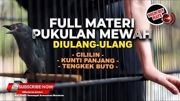 🔴MASTERAN SRIGUNTING ABU ABU ISIAN CILILIN TENGKEK BUTO KUNTI PANJANG DIULANG ULANG