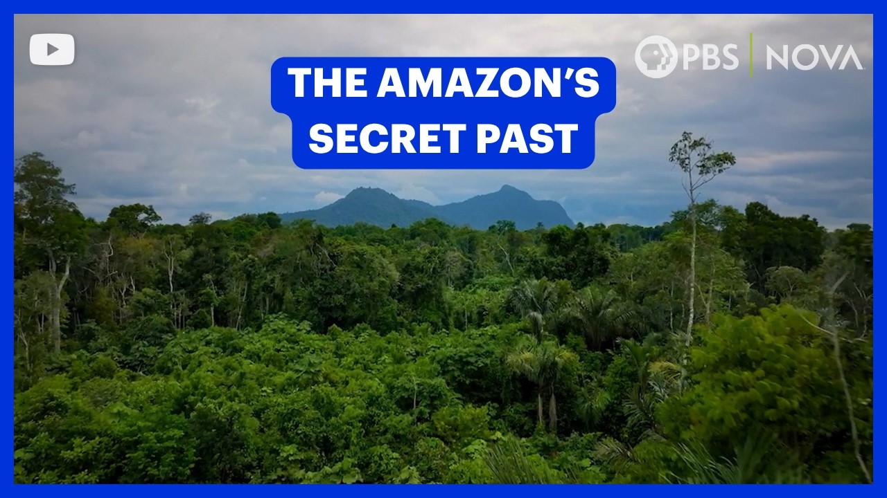 What Lies Hidden Beneath the Amazon Rainforest? | NOVA | PBS