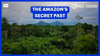 What Lies Hidden Beneath the Amazon Rainforest | NOVA | PBS