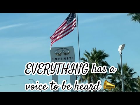 EVERYTHING has Voice 📣