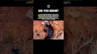 He FOUND Oil In His Backyard #history #facts