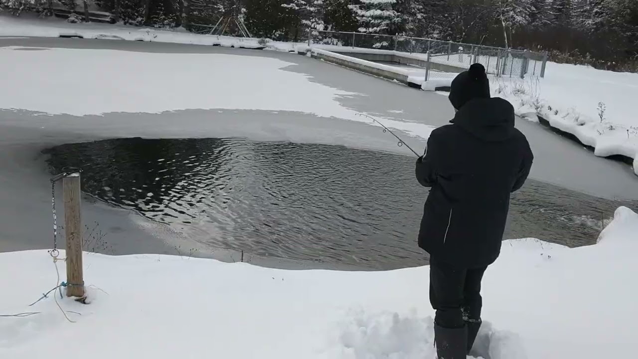 Pêche hivernale / Winter fishing