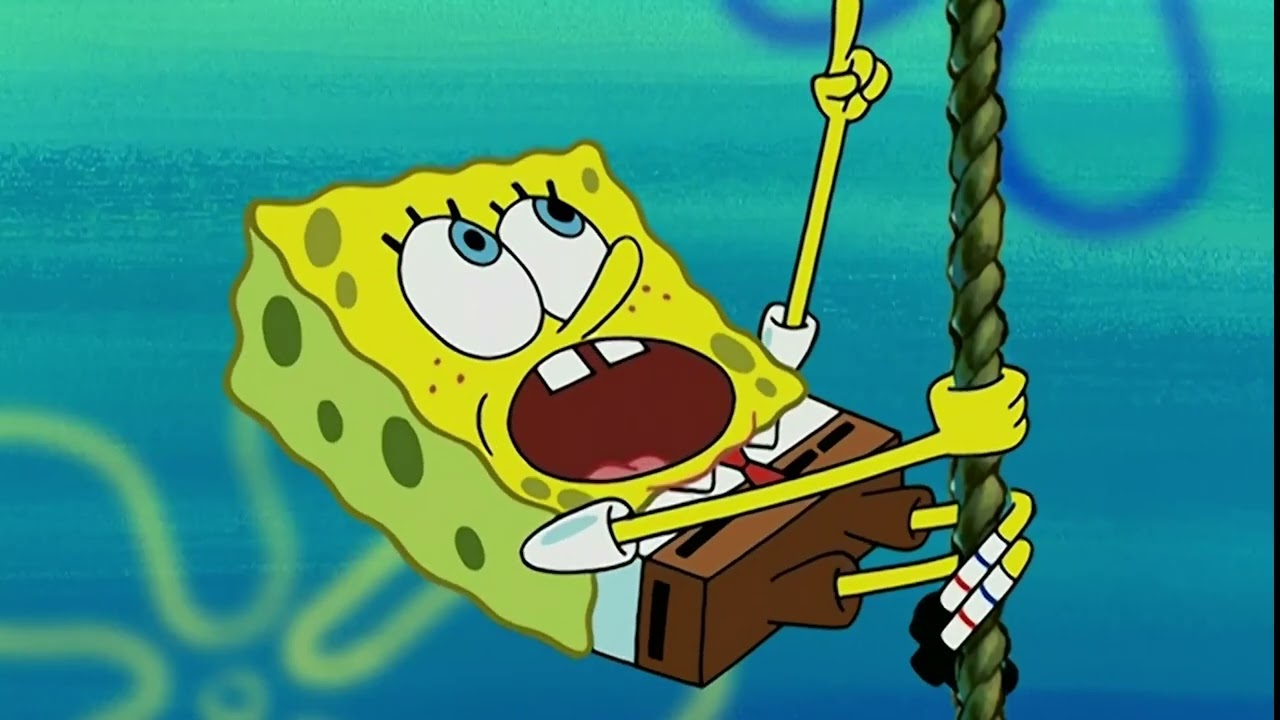 sponge vid