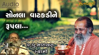 સોનલા વાટકડી ને રૂપલા ઈંઢોણી ભજન  || Sonala Vatakadi ne Rupala Indhoni bhajan by Narayan Swami