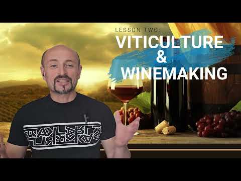 Videó: Mi a különbség a szőlőtermesztés és a borászat között?
