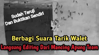 Gratis!!! Suara Tarik Walet ini Yang Anda Cari Cari Selama Ini