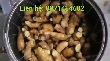 Máy bóc vỏ gừng - Máy lột vỏ nghệ SIÊU NHANH