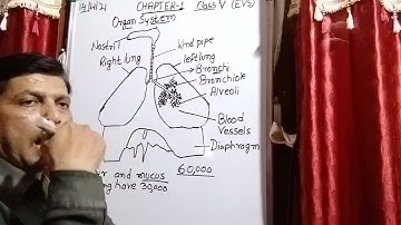 Class V EVS 14 04 2021 by Mr Rupesh Chapter 1