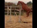 Ben Hobday TV