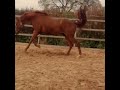 Ben Hobday TV