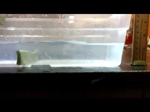 Wave Lab: diffusion and reflection