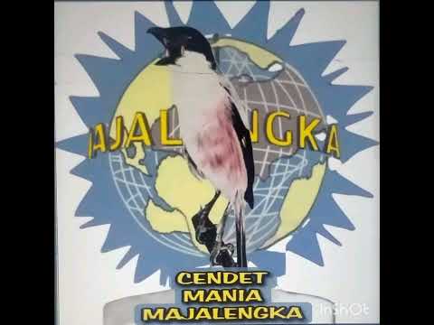 Masteran Kunti Jos Cucak Cungkok Gacor #cucakcungkokgacor #cucakcungkokisian