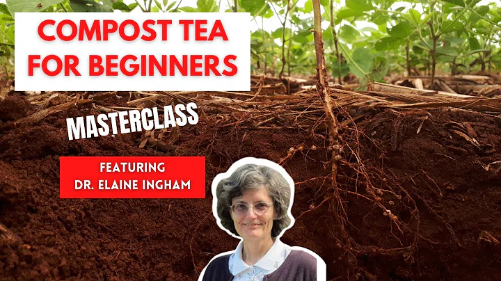 How to Grow Amazing Plants with Compost Tea - Mast...