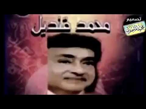 محمد قنديل انشودة علي يا علي