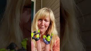 Halloween, Food Allergies, Autoimmune Disease & All Health Issues that Restrict Foods