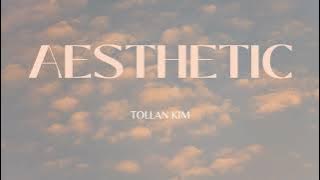 Aesthetic  - Tollan Kim | 10HourBGM