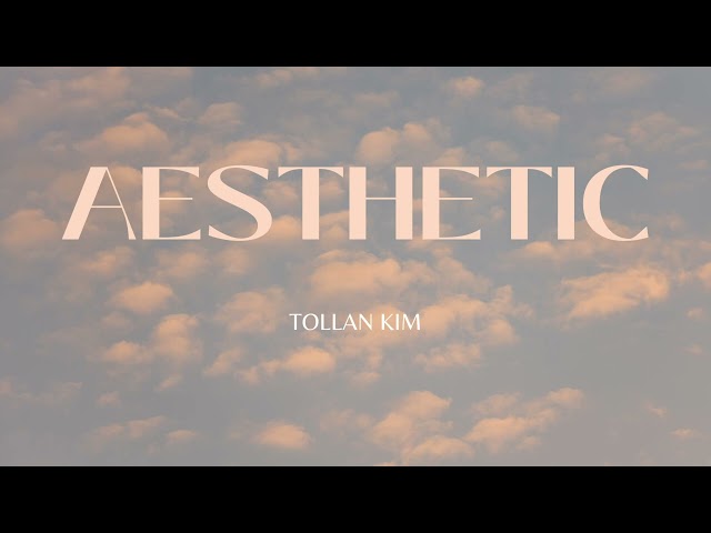 Aesthetic  - Tollan Kim | 10HourBGM class=