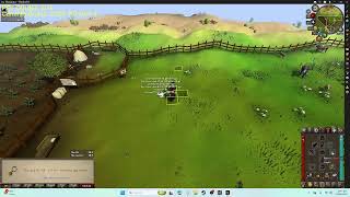 OSRS DRY COW 3300 KC