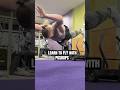These pushups make you FLY #calisthenics