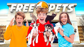OPENED A FREE PET STORE!!
