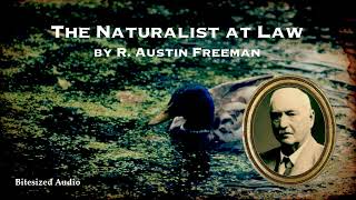 The Naturalist at Law | R. Austin Freeman | A Bitesized Audiobook