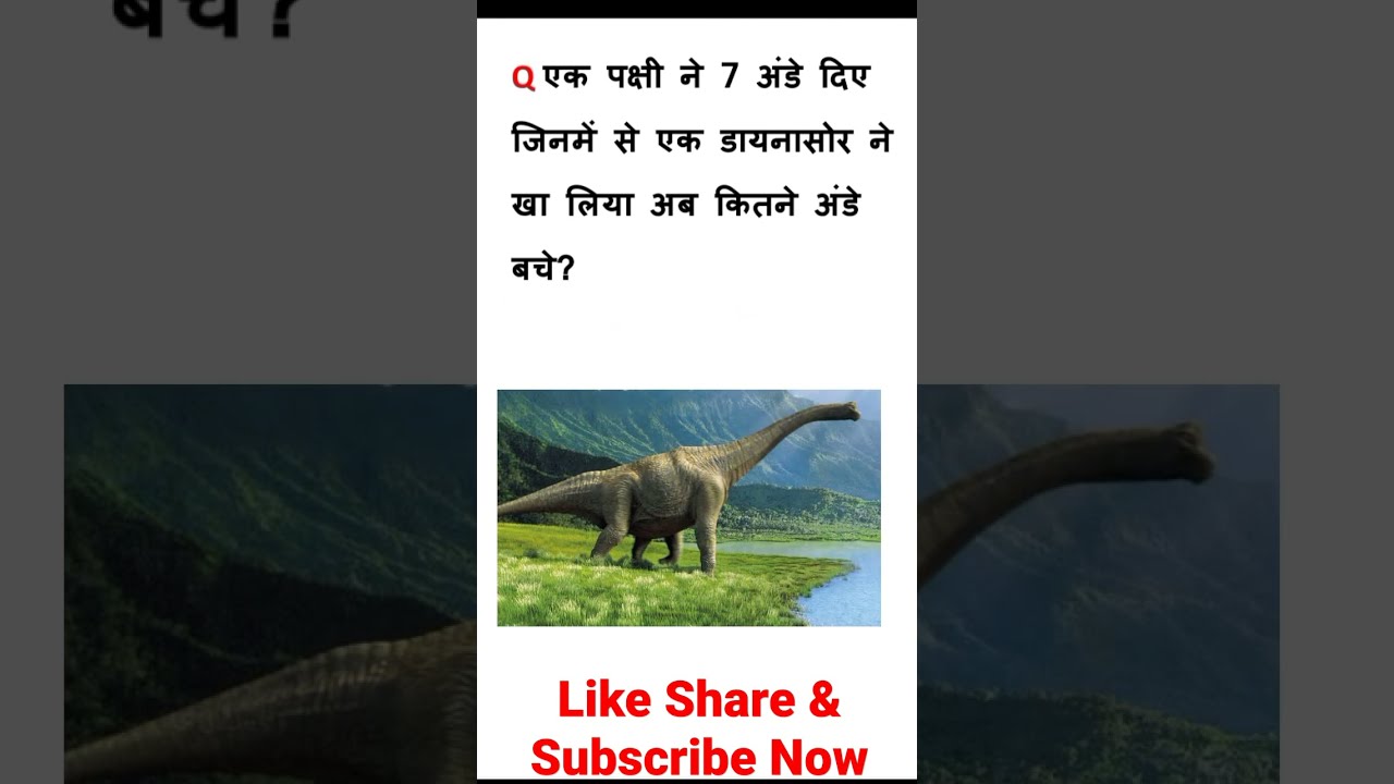 IQ Test || IQ Based Question In Hindi 🔥|| Interview Question 