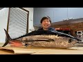 釣れたビンチョウマグロ捌いてみた
