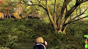 Dayz video-test, Dxtory. Ryan watch this