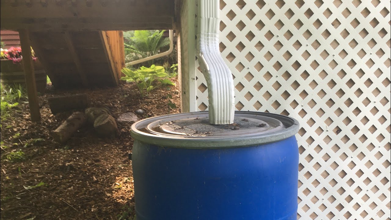 What is a Rain Barrel? YouTube