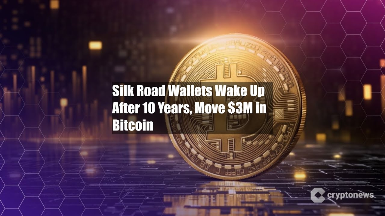 Silk Road Wallets Wake Up After 10 Years, Move $3M in Bitcoin - YouTube