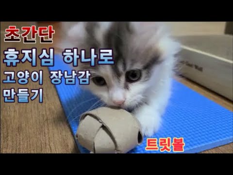 휴지심 하나로 고양이 장난감 만드는 방법 (5분이면 충분)