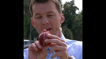 How To Bowl Reverse Swing - Brett Lee Reverse Swing Tips