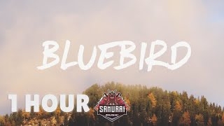 [ 1 HOUR ] Miranda Lambert - Bluebird (Lyrics)