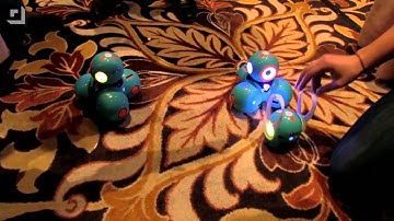 Geek Beat Archives   Kids Learn to Program with Dash and Dot Robots #CES2015
