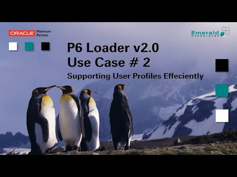 P6-Loader Use Case #2: How To Easily Support User Profiles