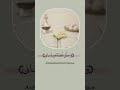 قال رب اشرح لي صدري حالات واتس اب اسلامية 