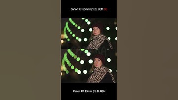 📸 Canon RF 85mm F1.2L USM vs. Canon RF 85mm F1.2L USM DS 🎥