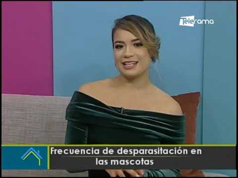 Frecuencia de desparasitación en las mascotas