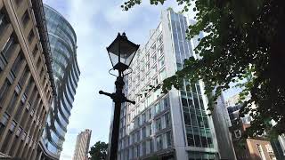 A Move Across the City, Without Losing a Leaf