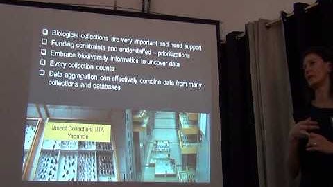 BITC / Data Capture - Vision for an Insect Collection -- part 2