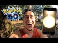 CHOCAMOS UM POKÉMON RARO NOS OVOS 10! POKÉMON GO COMPLETANDO (PARTE 5)
5ª GEN SHINY (PARTE 121)