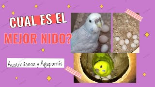 Cuál es el mejor nido? /Nidos para Periquitos