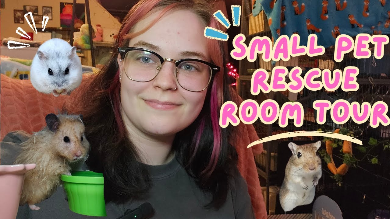 Rescue Roo Small Pet Rescue Room Tour!🐇🐀🐹 - YouTube