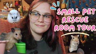 Small Pet Rescue Room Tour