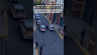 Teen Opens Fire Inside Wheaton Mall, 13-Year-Old Shot | Security Tackles Suspect #news #breakingnews