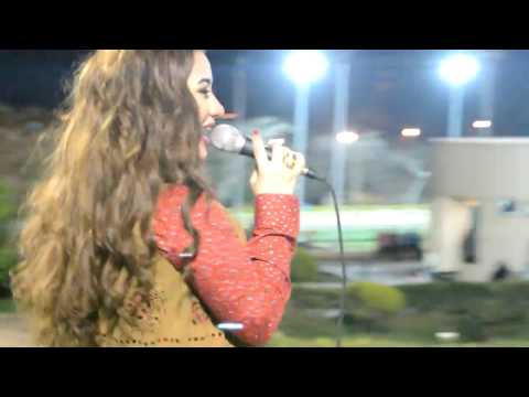 رودي فيها حاجة دي حفلة نادي المقاولون العرب الرياضي 