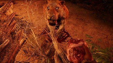 Help Wenja : Save Captive : Far Cry Primal walkthroughs or gameplay